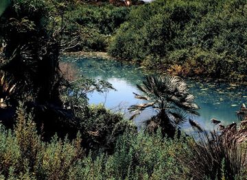 Source de canastel