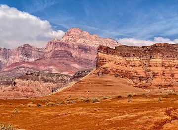 arizona/havasu-falls/attraction/vermilion-cliffs-national-monument-bulletin-board