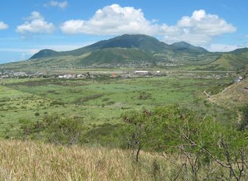 saint-kitts-and-nevis/cayon/attraction/the-royal-basseterre-valley-national-nature-reserve