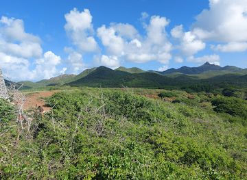curacao/groot-santa-martha/attraction/hofi-mango