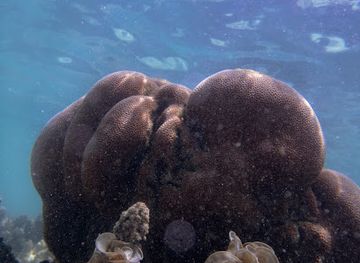 maldives/hulhumale/attraction/muhammadhu-thila