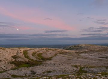 ireland/the-burren/attraction/hidden-burren-walks