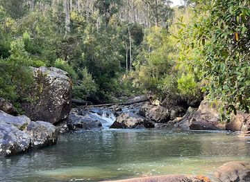 australia/tasmanian-wilderness/attraction/hollybank-forest