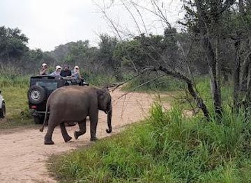 sri-lanka/sigiriya/attraction/habarana-safari-jeep-tours