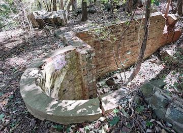 south-carolina/rock-hill/attraction/carhartt-mansion-ruins