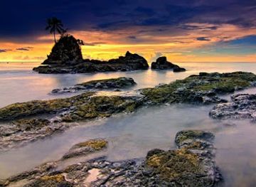 indonesia/southeast-sulawesi/attraction/tanjung-losa-bikini-bottom