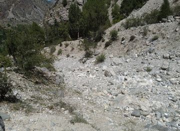 kyrgyzstan/ala-archa-national-park/attraction/archa-mazar