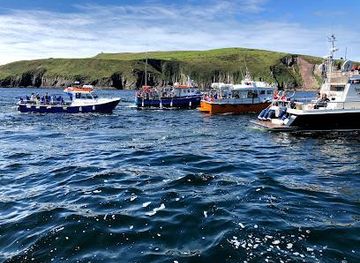 ireland/tralee/attraction/dingle-boat-tours