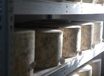 united-kingdom/bath/attraction/cheddar-gorge-cheese-company