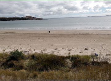 Nikau Bush Conservation Area