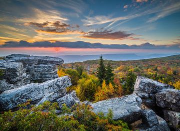 west-virginia/dolly-sods-wilderness/attraction/dolly-sods