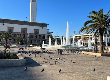 morocco/marrakech/hivernage/attraction/place-des-pigeons