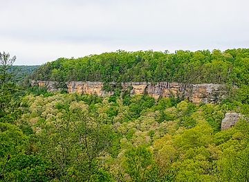 kentucky/natural-bridge-state-resort-park/attraction/red-river-gorge
