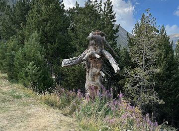 andorra/arinsal/attraction/hugs