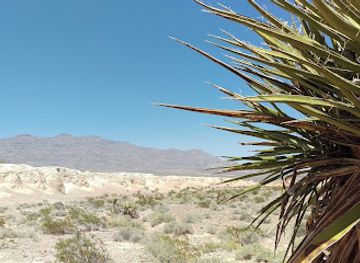nevada/north-las-vegas/attraction/tule-springs-fossil-beds-national-monument