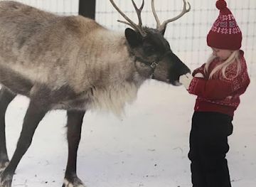 washington/the-inland-empire/attraction/leavenworth-reindeer-farm