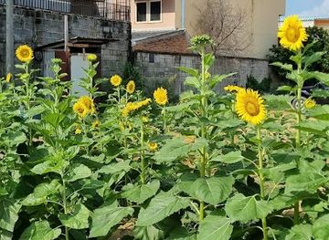 thailand/pattaya/attraction/wishing-well-khopai