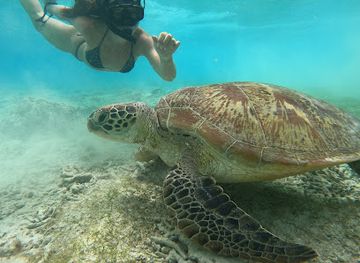 indonesia/gili-islands/attraction/fariel-d-gilis