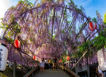 japan/chikugo/attraction/nakayama-no-ofuji