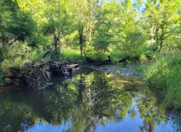 Pewit's Nest