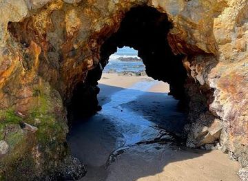 california/redwood-city/attraction/pescadero-state-beach