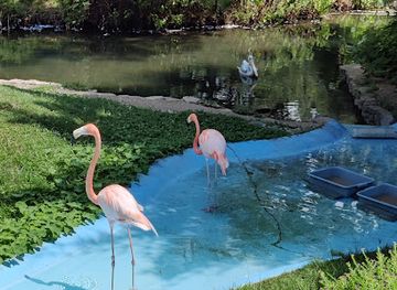 louisiana/monroe/attraction/louisiana-purchase-gardens-zoo