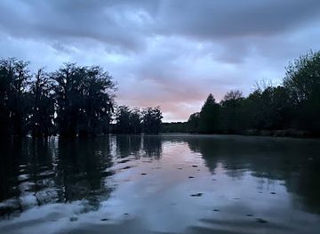louisiana/bayou-teche/attraction/bayou-teche-experience