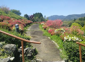 japan/hyuga/attraction/bokusui-park