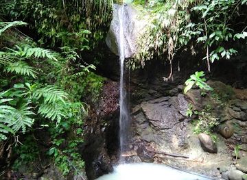 saint-lucia/diamond-falls-botanical-gardens/attraction/cozy-falls-jetwin-la-haut