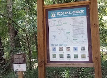 mississippi/the-pine-belt/attraction/pinebelt-blueways