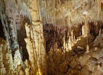 italy/bari/attraction/castellana-grotte