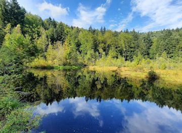 ukraine/trostyan/attraction/crane-lake-or-dead-lake