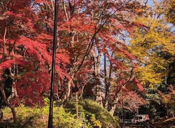 japan/tokyo/attraction/momiji-valley