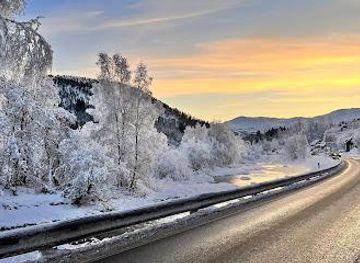 norway/bergen/attraction/jandis-as