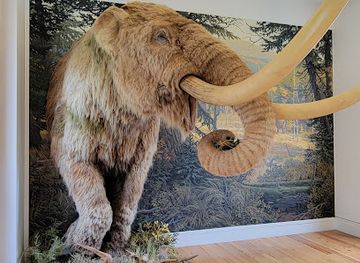 new-york/new-york-city/staten-island/attraction/staten-island-museum