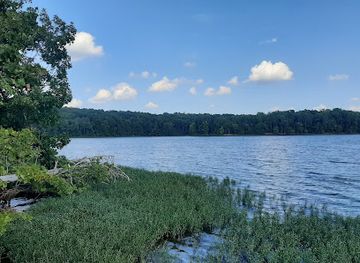 north-carolina/uwharrie-mountains/attraction/king-s-mountain-point