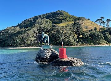 new-zealand/tauranga/attraction/orca-wild-adventures-dolphin-swims