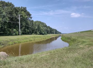 mississippi/northeast-mississippi/attraction/cypress-swamp