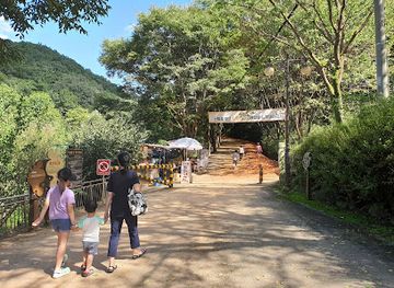 south-korea/daejeon/attraction/gyejoksan-mountain-red-clay-trail