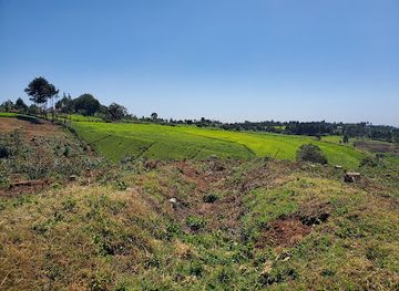 kenya/nyandarua-range/attraction/riara-tea-tours