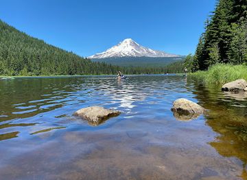 oregon/mount-hood-national-forest/attraction/mt-hood-meadows
