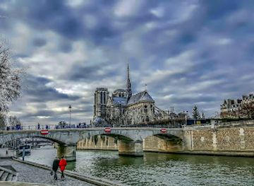 france/ile-de-france/attraction/ile-de-la-cite