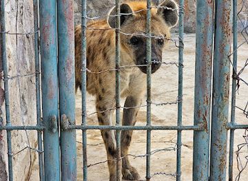 tanzania/mwanza/attraction/kassa-zoo