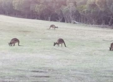 australia/kangaroo-island/attraction/paul-s-place