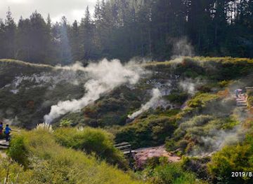 new-zealand/taupo/attraction/wairakei-thermal-valley