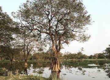 sri-lanka/anuradhapura/attraction/kalawewa-national-park