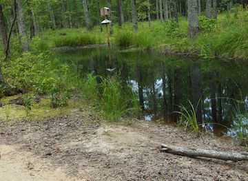 mississippi/tombigbee-national-forest/attraction/northeast-mississippi-nature-and-interpretive-trail