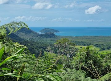 australia/far-north-queensland/attraction/daintree-national-park