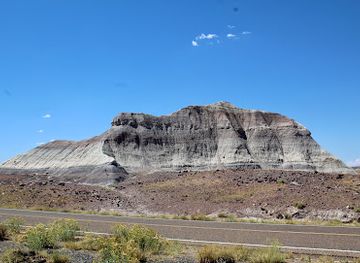 Petrified Forest National Park