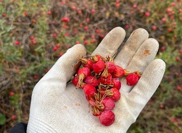 kazakhstan/eastern-kazakhstan/attraction/ushchel-ye-s-kleshchami